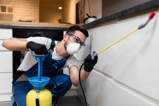 Best Affordable Pest Control Services  in Sedalia, MO