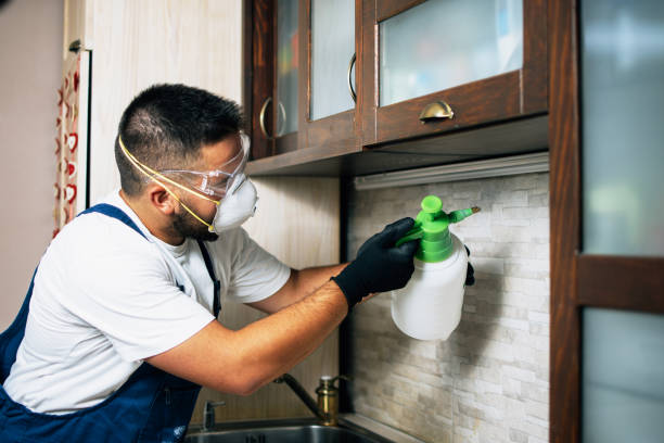 Best Pest Control Near Me  in Sedalia, MO