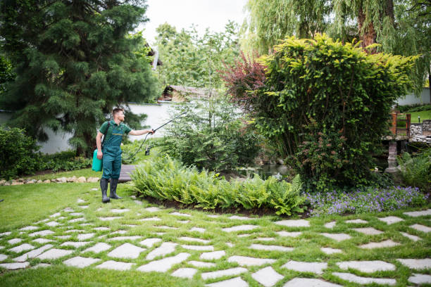 Best Pest Prevention Services  in Sedalia, MO