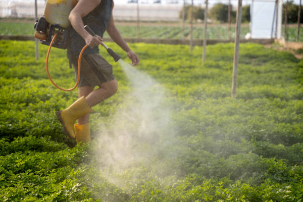 Best Best Pest Control Companies  in Sedalia, MO