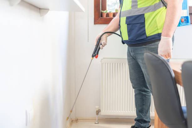 Best Wasp Removal Services  in Sedalia, MO