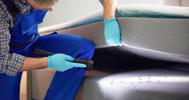 Best Affordable Pest Control Services  in Sedalia, MO