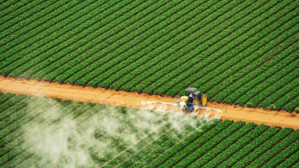 Best Pest Removal Services  in Sedalia, MO