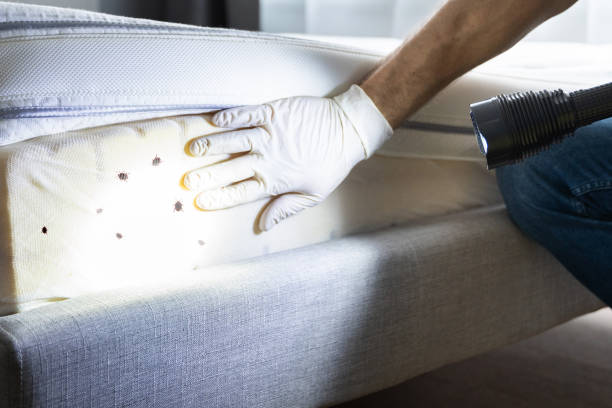 Best Commercial Pest Control Services  in Sedalia, MO