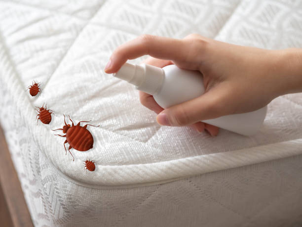 Best Mosquito Control Services  in Sedalia, MO
