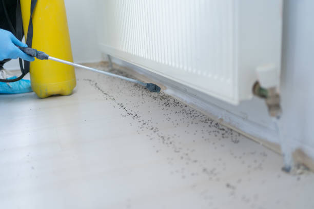 Best Bed Bug Extermination  in Sedalia, MO