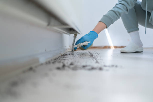 Best Bed Bug Extermination  in Sedalia, MO